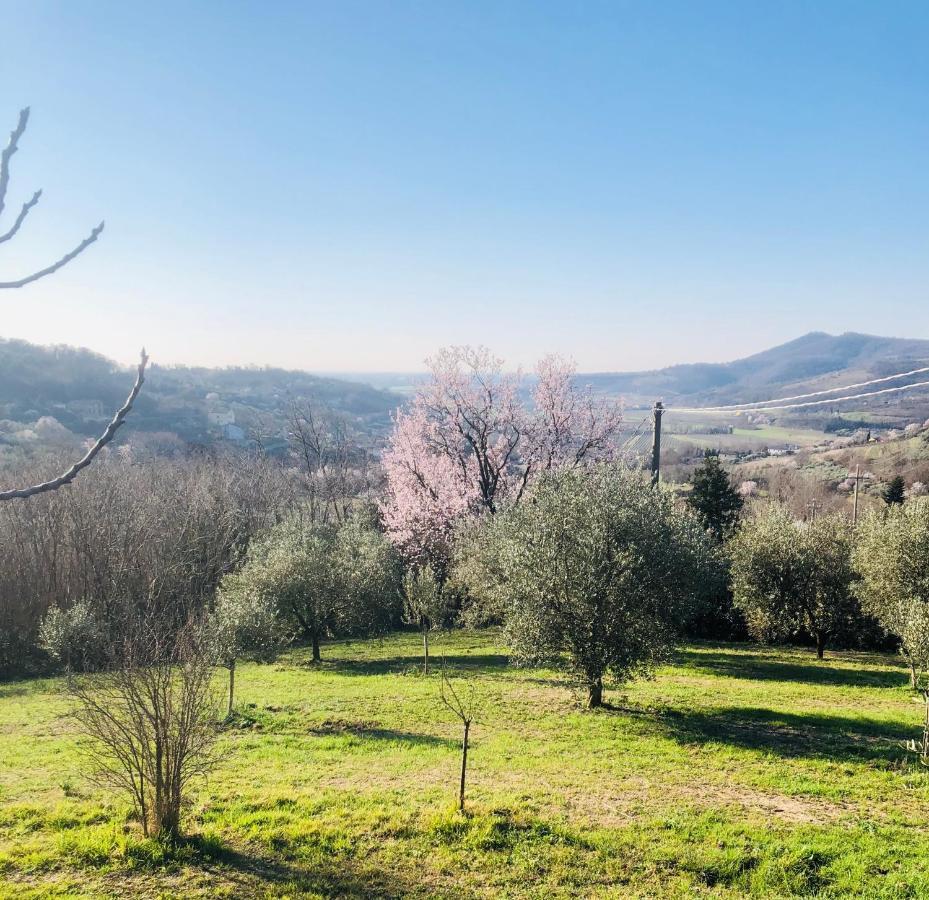 Tavern Di Arqua' Arquà Petrarca Kültér fotó